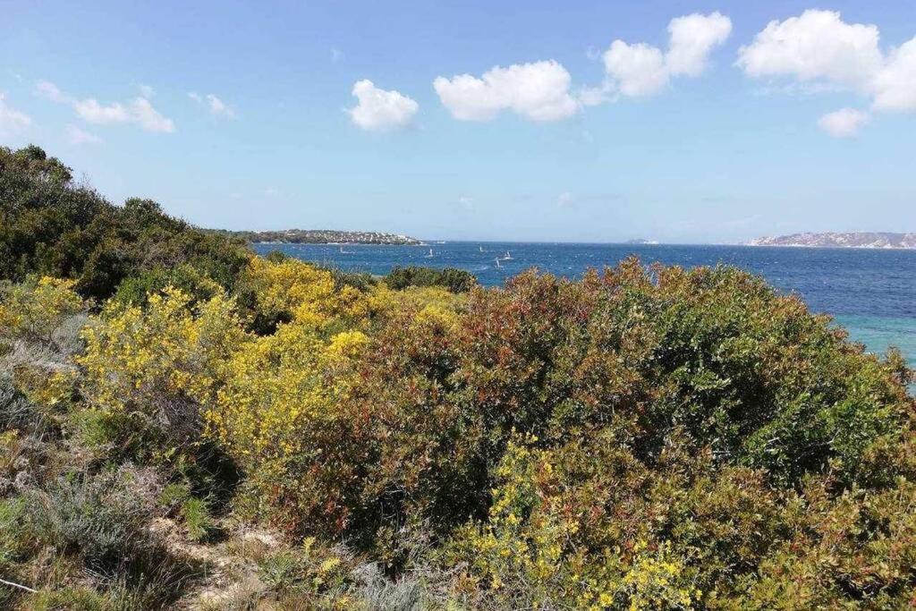 Apartmán Casa Di Lu' - Bilocale Con Giardino - Porto Pollo Exteriér fotografie